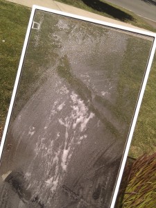 Scrubbed Screen