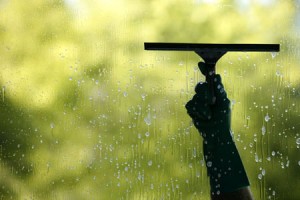 Hamilton Window Washing Services