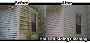 Hamilton Siding Cleaning