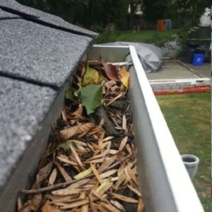 hamilton gutter cleaning before1