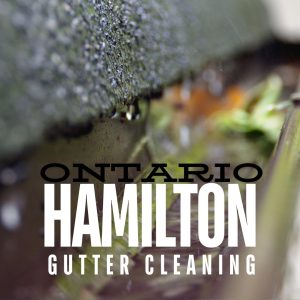 hamilton gutter cleaning eavestrough